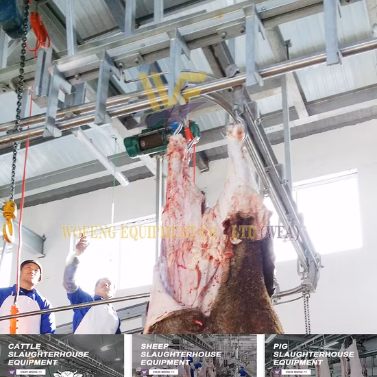 Top Sell Cattle Lifting Frame, Auxiliary Cows Get up Veterinary Equipment